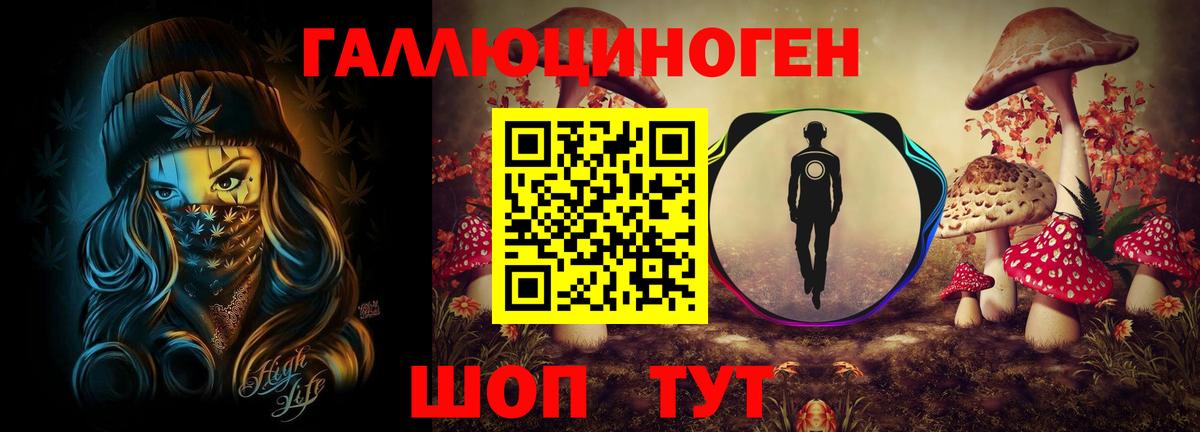 закладки  Галлюциногенные грибы MAGIC MUSHROOMS  Вход с VPN  Галлюциногенные грибы Magic Shrooms  Сегежа 